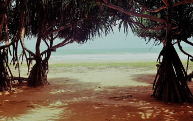 Enchanting Travels - Sri Lanka Tours - Lotus Villa Ayurveda Retreat - Beach