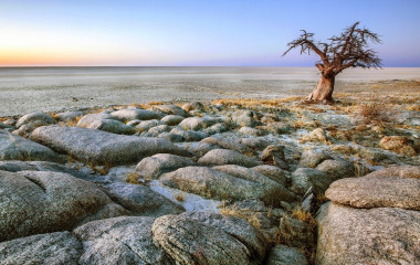Baobabbaum in steiniger Landschaft in Sambia