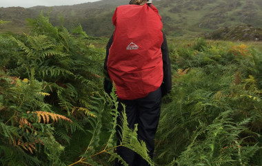 Rückansicht von Tourist mit großem roten Rucksack in dichter Vegetation