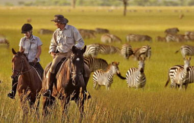 African serengeti-national-park-zebras