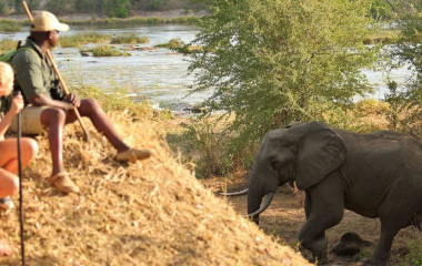 Tanzania safari: North or South?