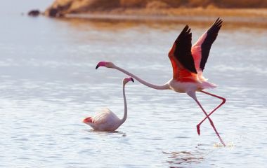 Great Heritage Hikes in Lake Bogoria