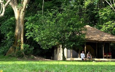 Two guests talking to each other, Rubondo Island, Tanzania, Africa