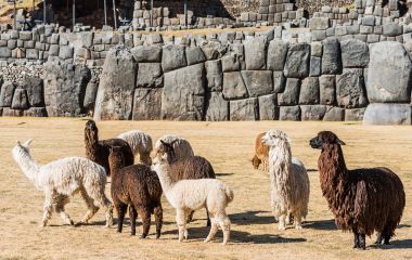 Saqsaywaman, is a citadel on the northern outskirts of the city of Cusco, Peru, South America