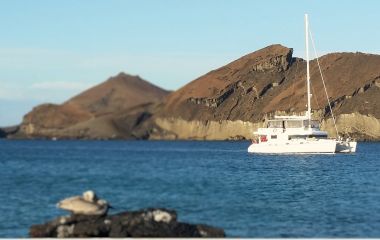 Galapagos Islands Tour
