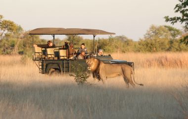 The Best Ever Luxury Safari Tours in Zimbabwe