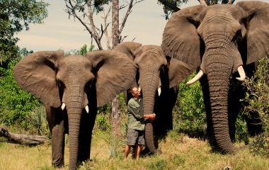 Botswana safari tour