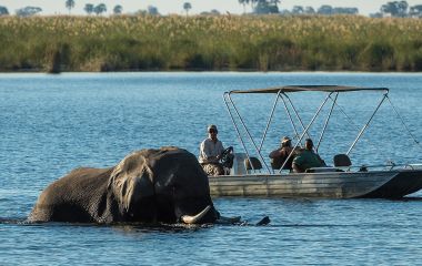 Linyati Wildlife Reserve Dumatau Camp, Okavango Delta, Botswana Tours, Africa