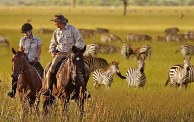 African serengeti-national-park-zebras