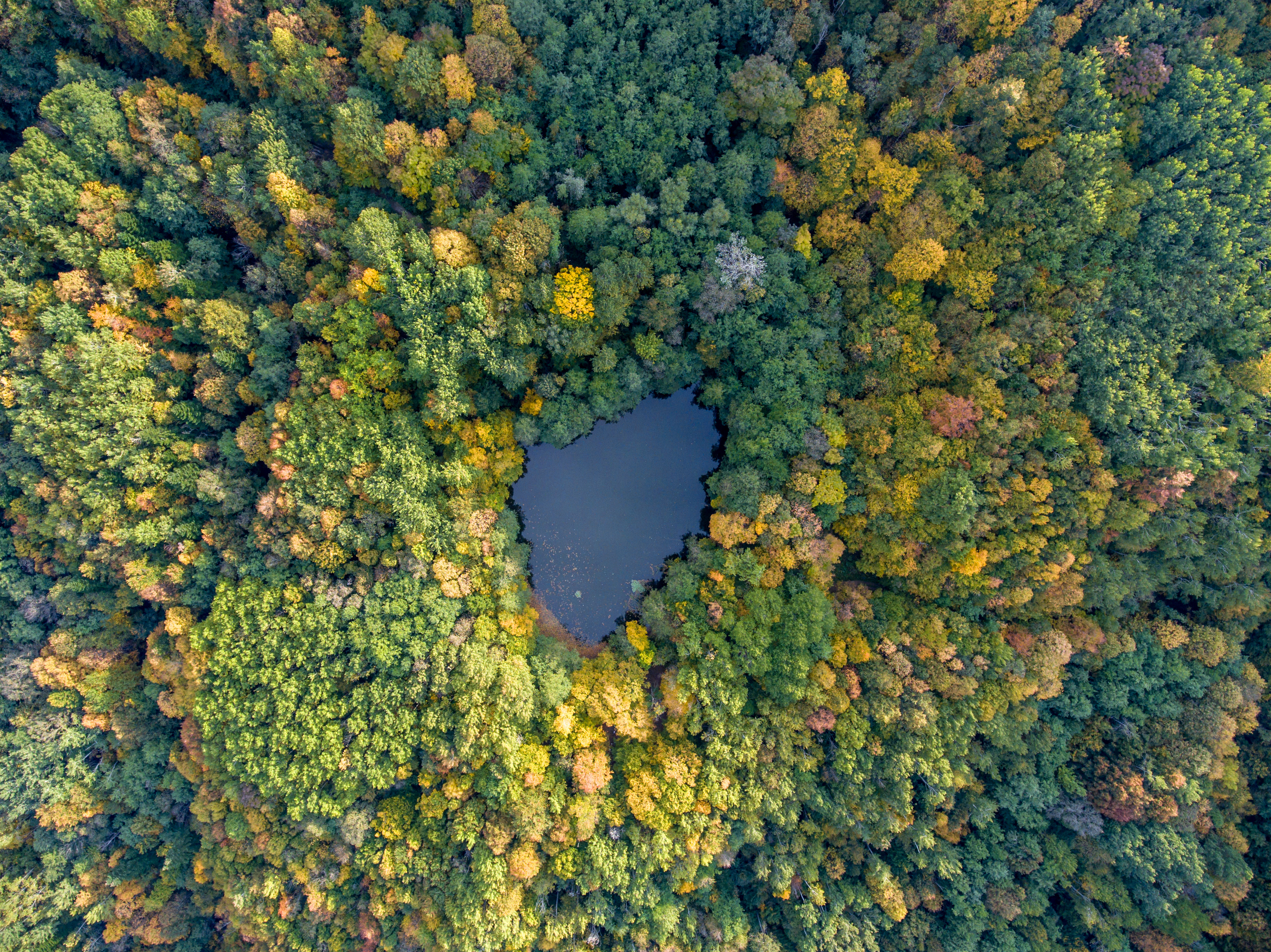 Aerial view. Wild forest lake in Russia, Caucasus.