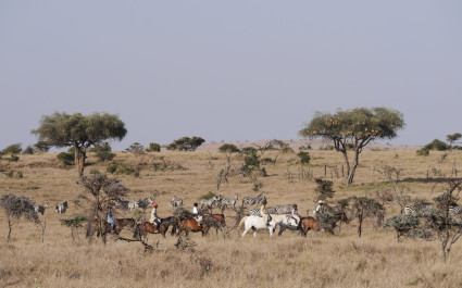 Enchanting Travels Kenya Tours Laikipia Borana - Laragai Lodge (4)