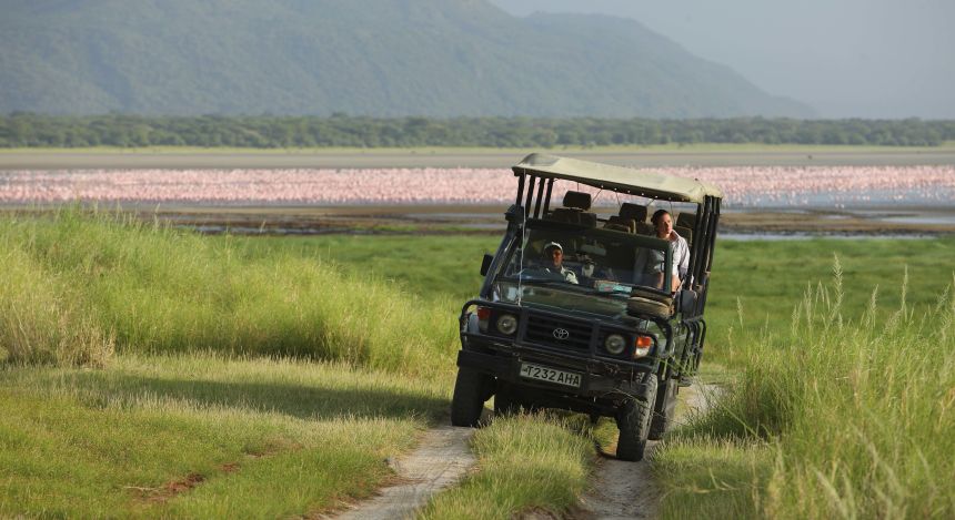 Geländewagen vor Schwarm von Flamingos, Safari tour, Tansania
