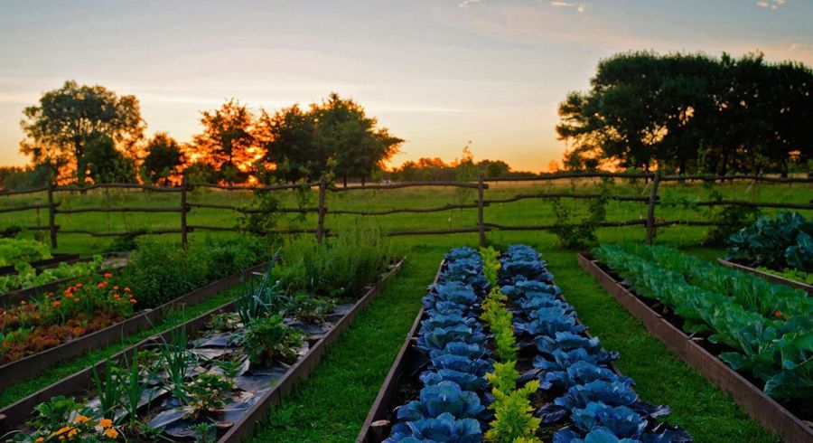 Buenos Aires Estancia