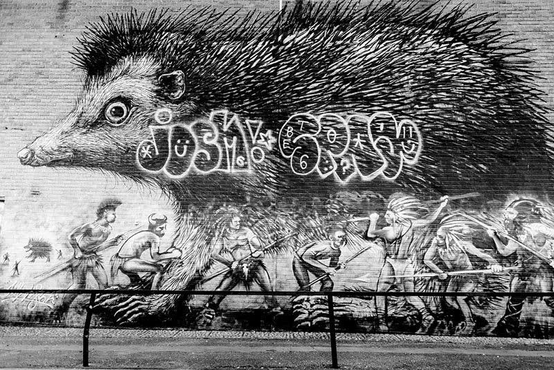 Best East London Street Art - ROA Hedgehog - Essential Living