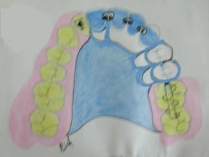 02 - Eugenol