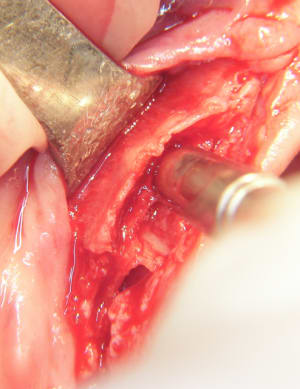 100 6739 jzsmwg - Eugenol