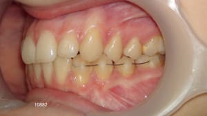 10882 9bis hun4iq - Eugenol