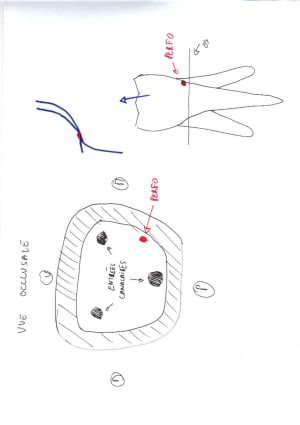 13 03 2012 23 33 48 ihe3e8 - Eugenol