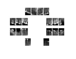 1 lxcgfg - Eugenol