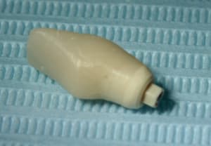 22 ybglat - Eugenol