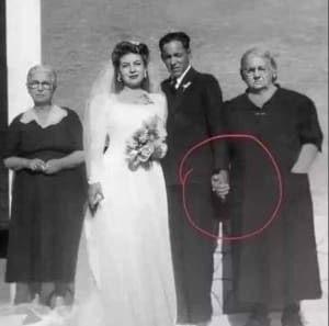 2ootdxtaw1uysb3ldky8c8ic5l6j - Eugenol