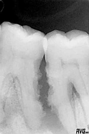 3637 muyswe - Eugenol