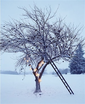 374204 214025832002189 320758464 n hswae5 - Eugenol