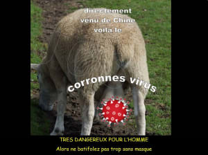 403891d2f2a64958d16ec911add0c0c8 swfkil - Eugenol