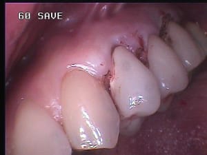 435 x7afys - Eugenol