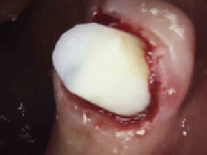 7 a5njwz - Eugenol