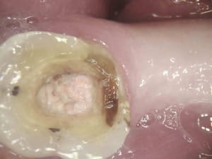 7 fm9maf - Eugenol