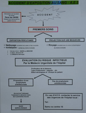 Aes s4kyni - Eugenol