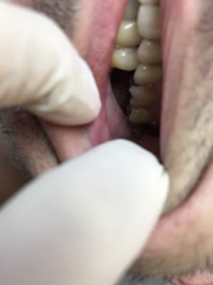 Bca4552c 81fc 401b afa3 d6ad4a0911f5 lnqd37 - Eugenol