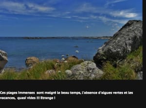 Capture d e cran 2015 04 14 22.51 - Eugenol