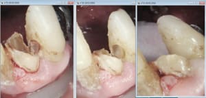 Capture d e cran 2016 02 19 13.38 - Eugenol