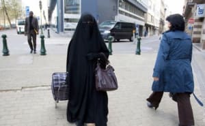 D88ff7d9 5fba 4434 af10 ed58fca7dcce irvyd3 - Eugenol