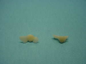 Dsc00089 nurt6y - Eugenol
