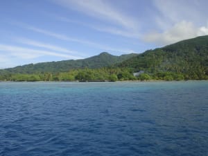 Dsc03641 w907t5 - Eugenol