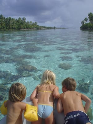 Dsc03658 uaiqev - Eugenol