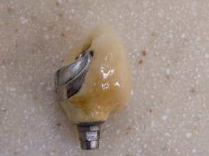 Dscf0193 x8pesp - Eugenol