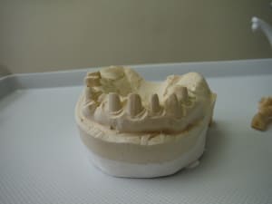 Dscf0453 hfv5o2 - Eugenol