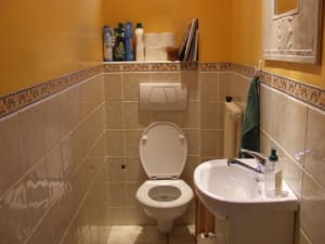 Dscf1569 wkwdgj - Eugenol