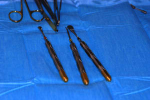 Dsc 0011 m5ugdy - Eugenol