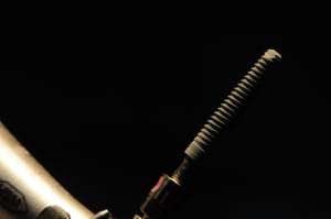 Dsc 0265 a2p6nw - Eugenol