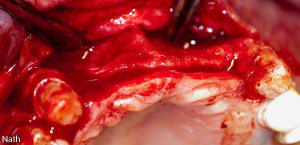 Dsc 0361 zb2rul - Eugenol