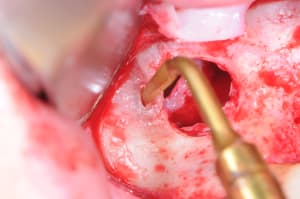 Dsc 0388 e6v6sy - Eugenol