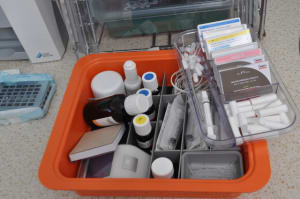 Dsc 0452 fgwzur - Eugenol