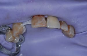 Dsc 0964 qivimn - Eugenol