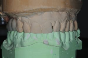 Dsc 2337 icbf3a - Eugenol