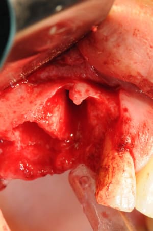 Dsc 2450 hxnum6 - Eugenol